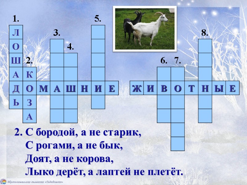 2. С бородой, а не старик,     С рогами, а не